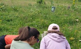 20240724_110034_resized.jpg