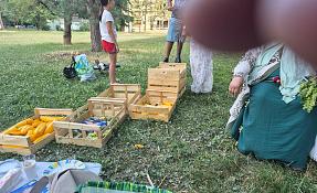 20250701_194253-r180.jpg