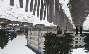 20231204_105018.jpg