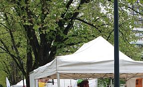 20250427_073940.jpg